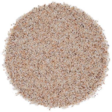 Coconut texture preview