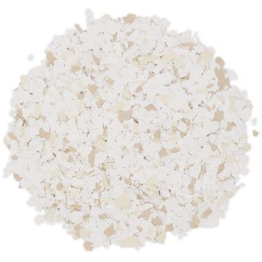 Sand Dollar texture preview