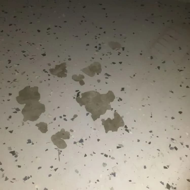 Flaking Protection